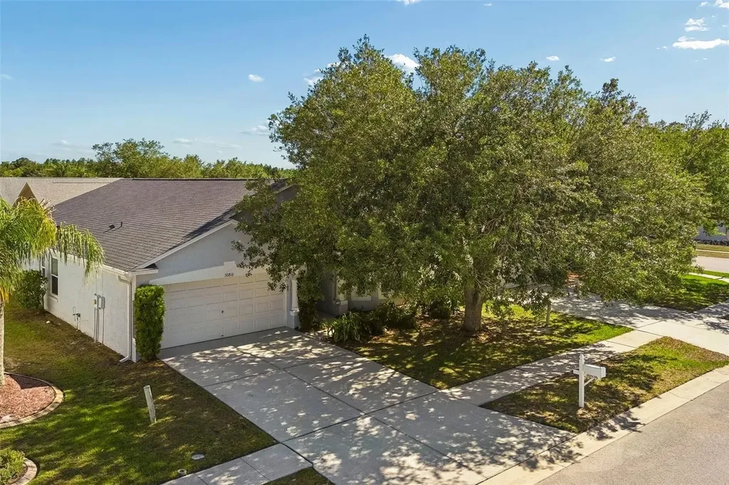 30816 Midtown Court Wesley Chapel FL 33545