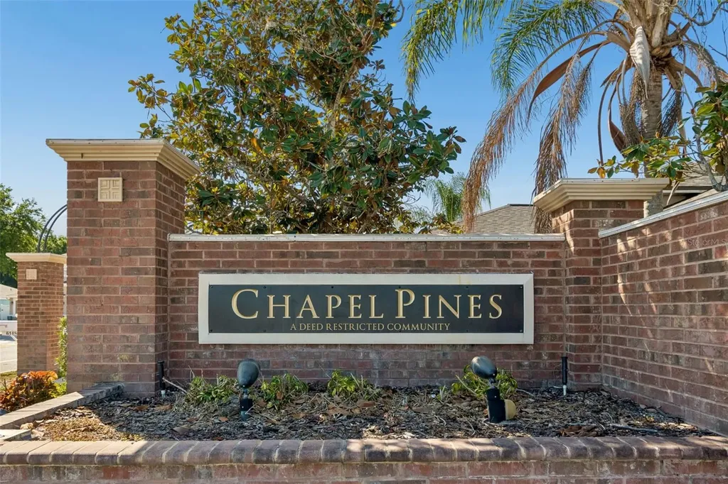 30816 Midtown Court Wesley Chapel FL 33545