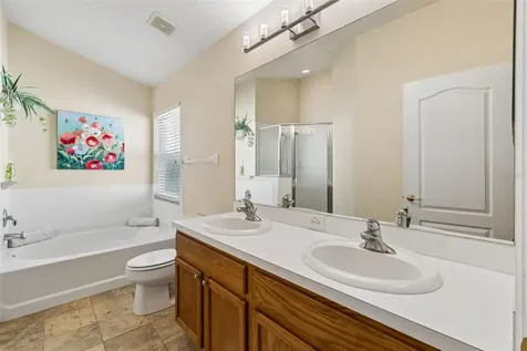 30816 Midtown Court Wesley Chapel FL 33545