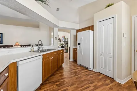30816 Midtown Court Wesley Chapel FL 33545