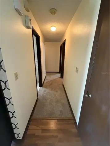 3609 Dan Unie Lane Lakeland FL 33812
