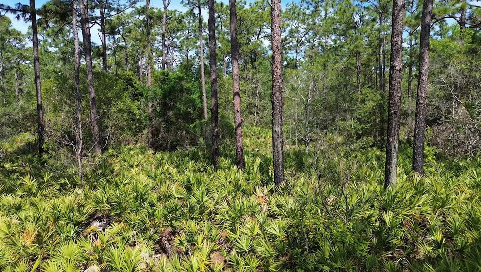 S Apopka Vineland Road Orlando FL 32821
