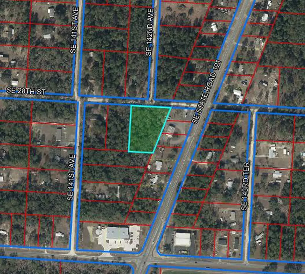 0000 SE 28th Street Morriston FL 32668