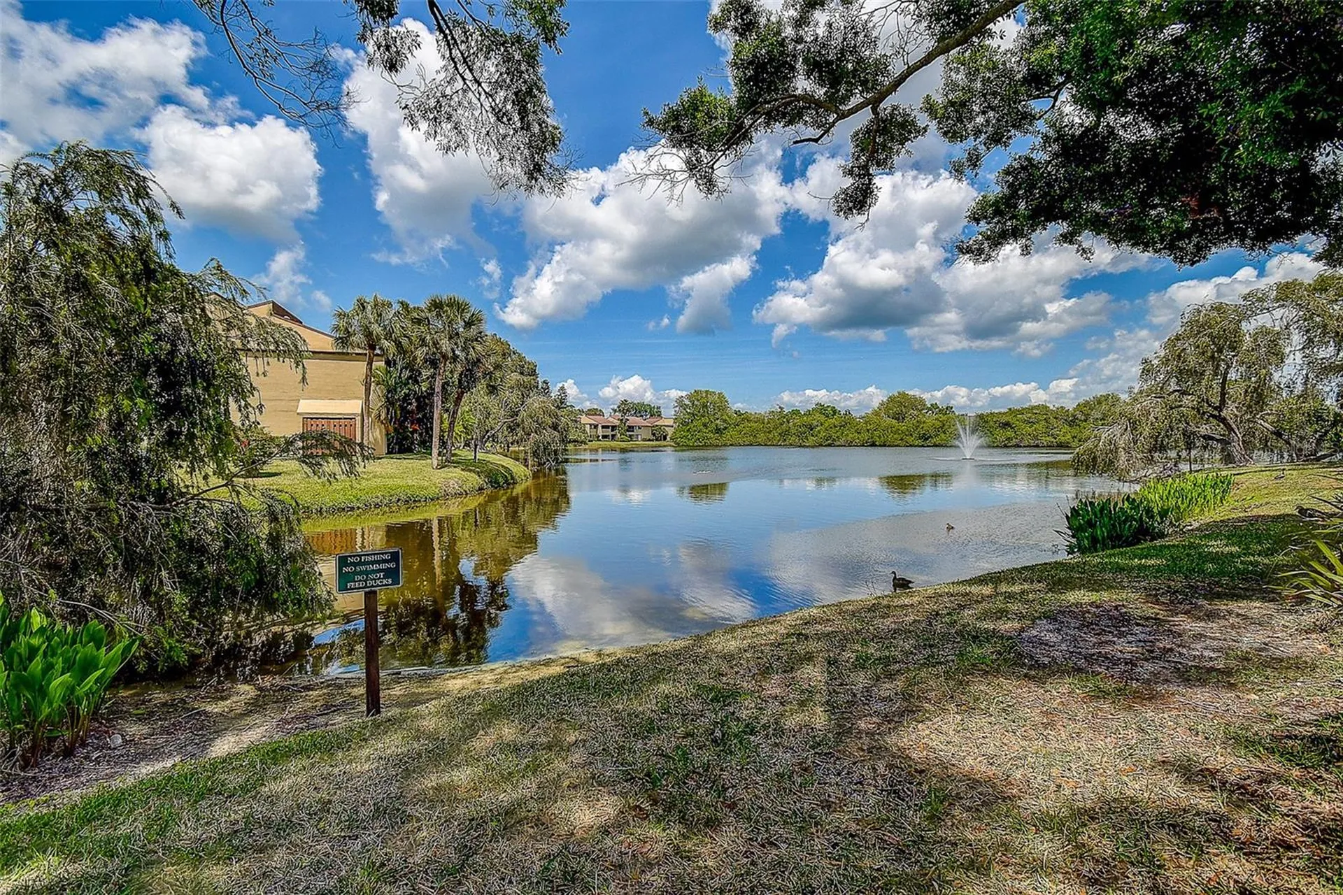 860 S Village Drive N St Petersburg FL 33716