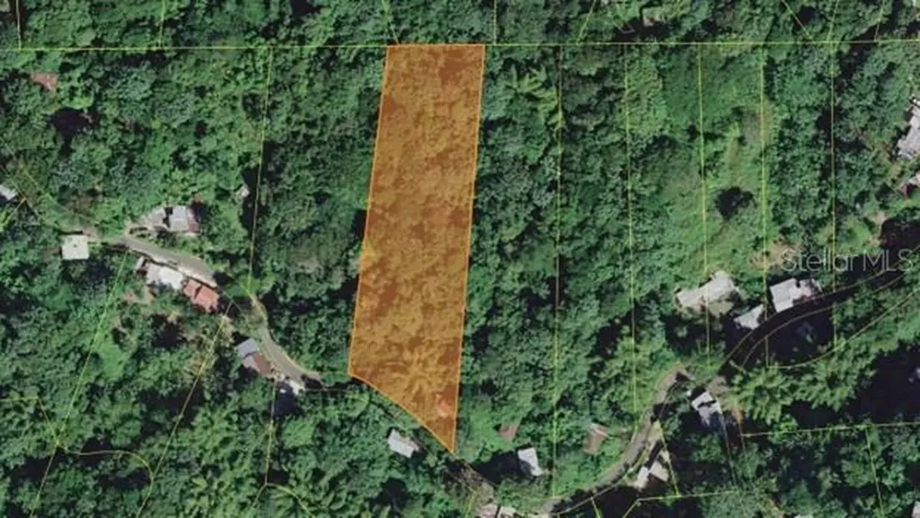 PR-354 Km 6.4 Marini Community - Quemado Ward Mayaguez PR 00680