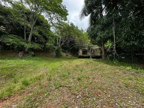 PR-354 Km 6.4 Marini Community - Quemado Ward Mayaguez PR 00680