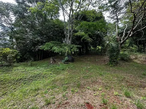 PR-354 Km 6.4 Marini Community - Quemado Ward Mayaguez PR 00680