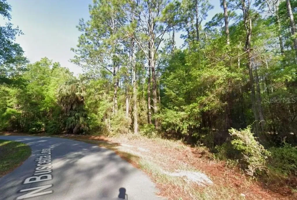 8754 N Buscetta Loop Crystal River FL 34428