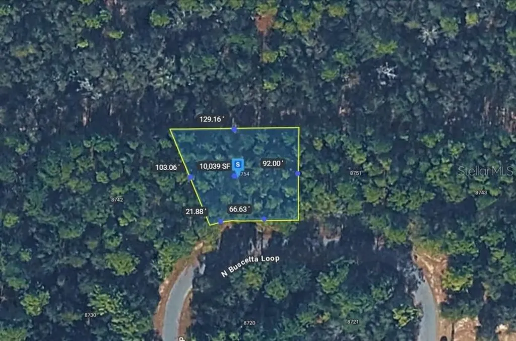 8754 N Buscetta Loop Crystal River FL 34428