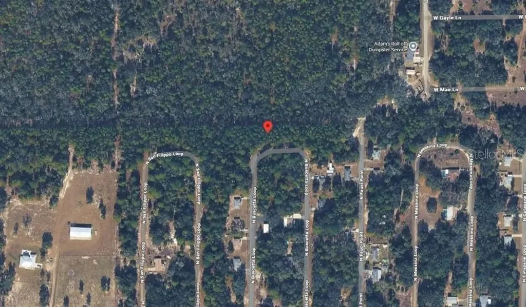 8754 N Buscetta Loop Crystal River FL 34428