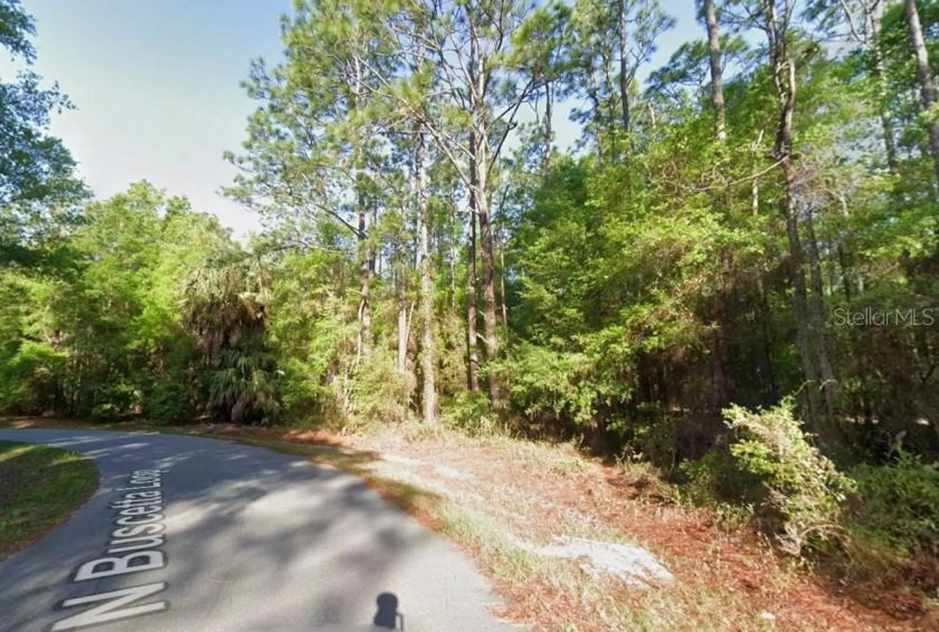 8754 N Buscetta Loop Crystal River FL 34428