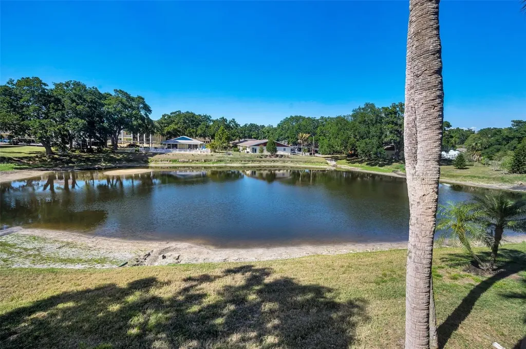 936 Virginia Street Dunedin FL 34698