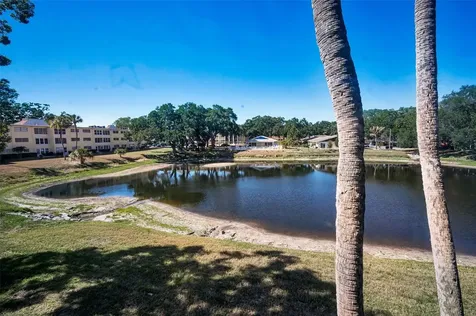 936 Virginia Street Dunedin FL 34698