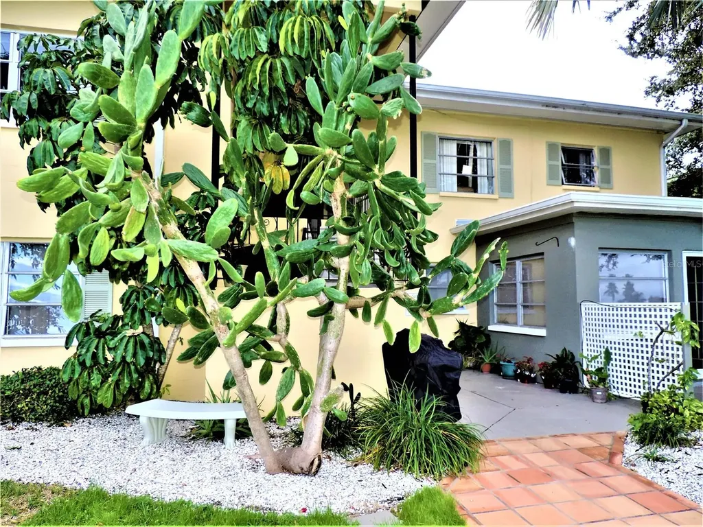 12175 3rd Street E Treasure Island FL 33706