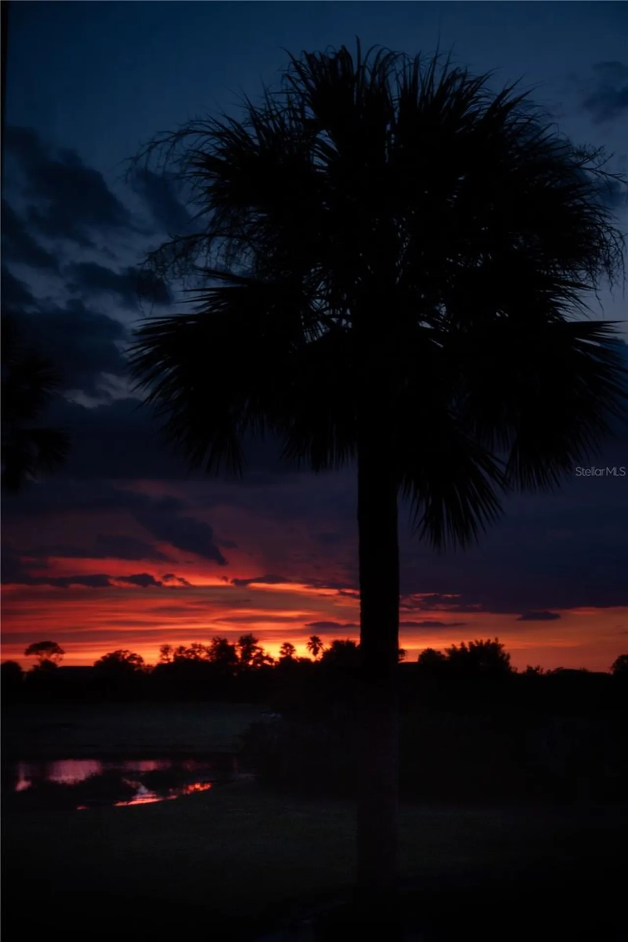 6509 Grand Estuary Trail Bradenton FL 34212