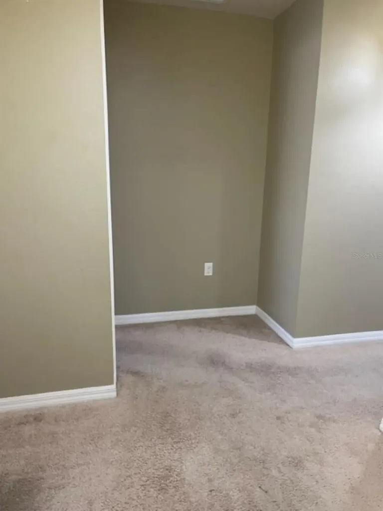 2950 Willowleaf Lane Wesley Chapel FL 33544