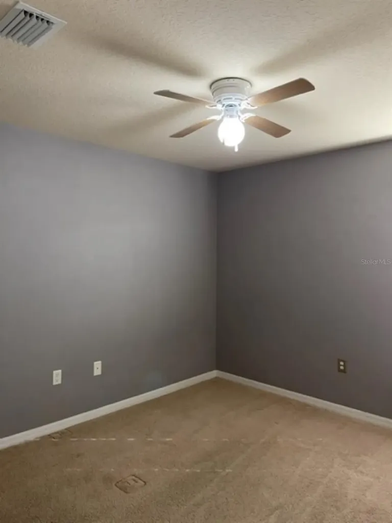 2950 Willowleaf Lane Wesley Chapel FL 33544