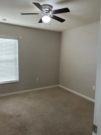 2950 Willowleaf Lane Wesley Chapel FL 33544