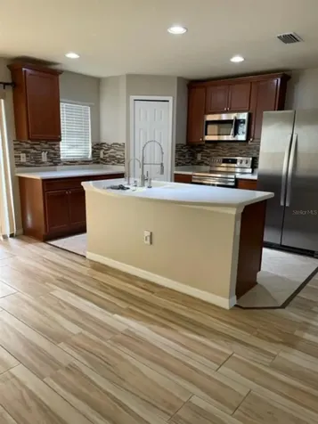2950 Willowleaf Lane Wesley Chapel FL 33544