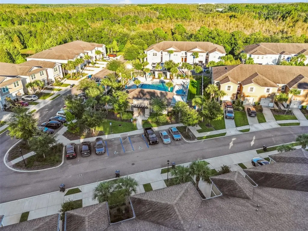 17856 Althea Blue Place Lutz FL 33558