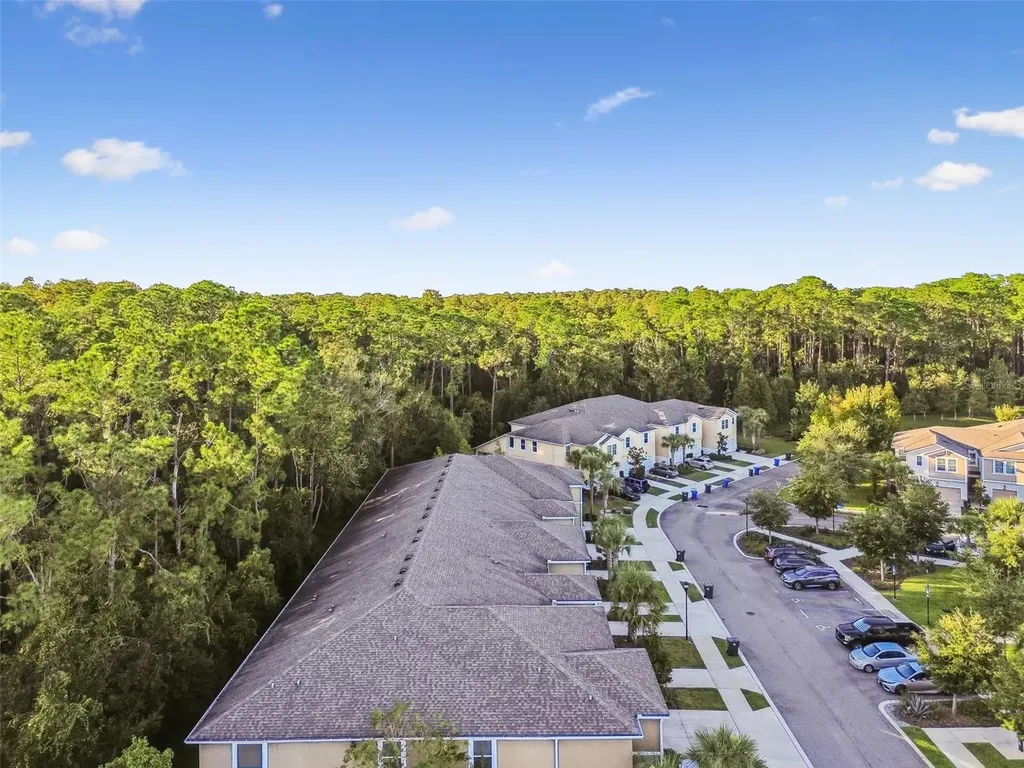 17856 Althea Blue Place Lutz FL 33558