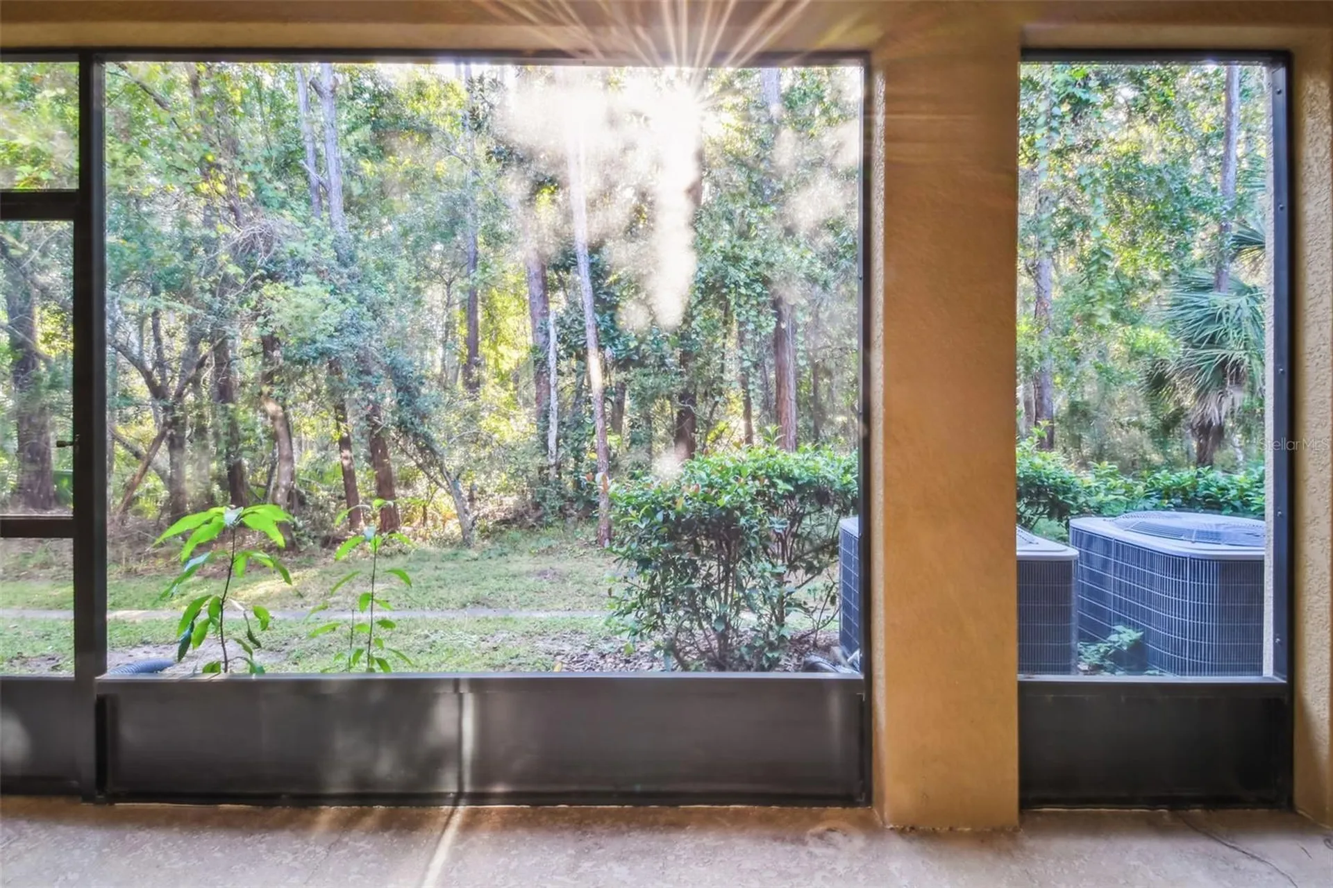 17856 Althea Blue Place Lutz FL 33558