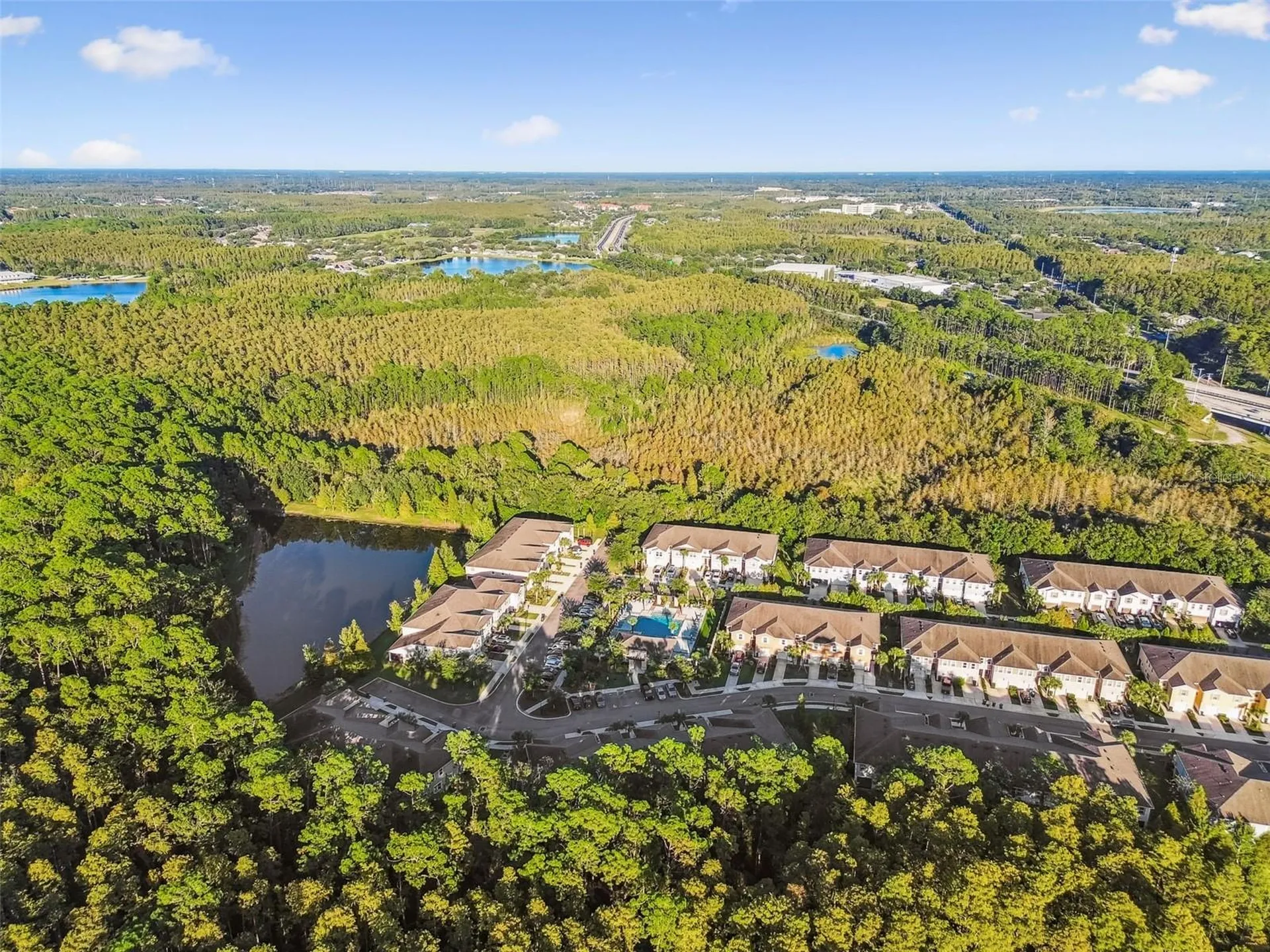 17856 Althea Blue Place Lutz FL 33558