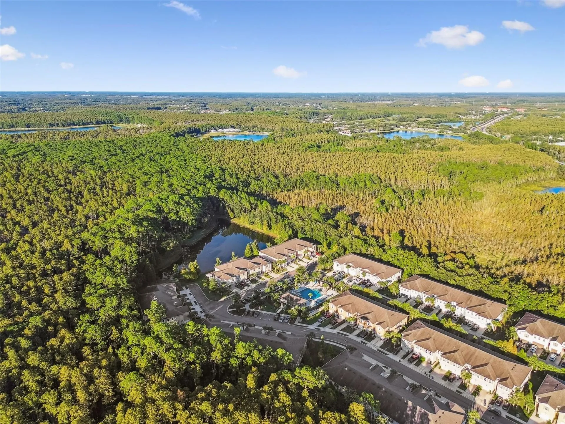 17856 Althea Blue Place Lutz FL 33558
