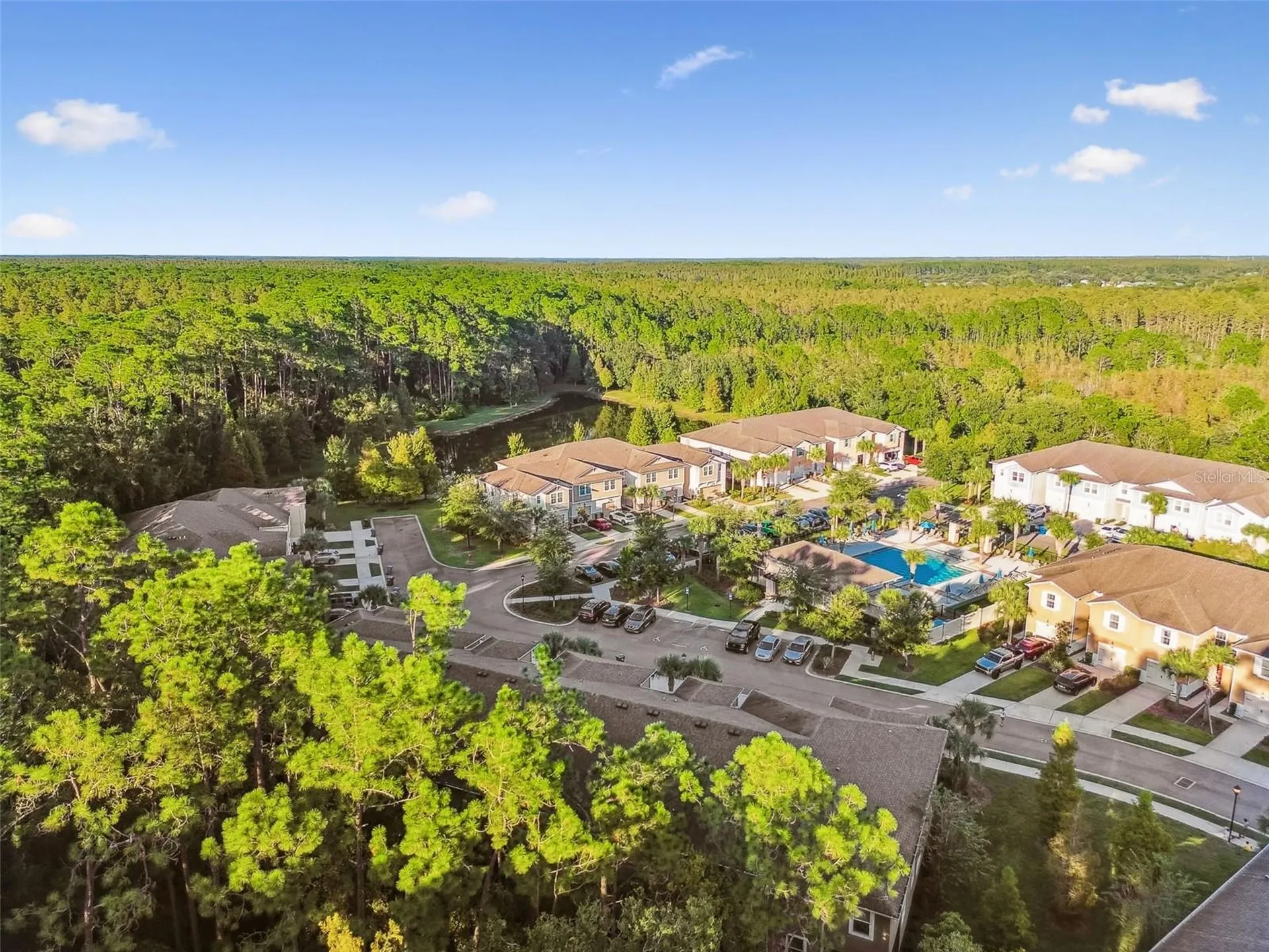 17856 Althea Blue Place Lutz FL 33558