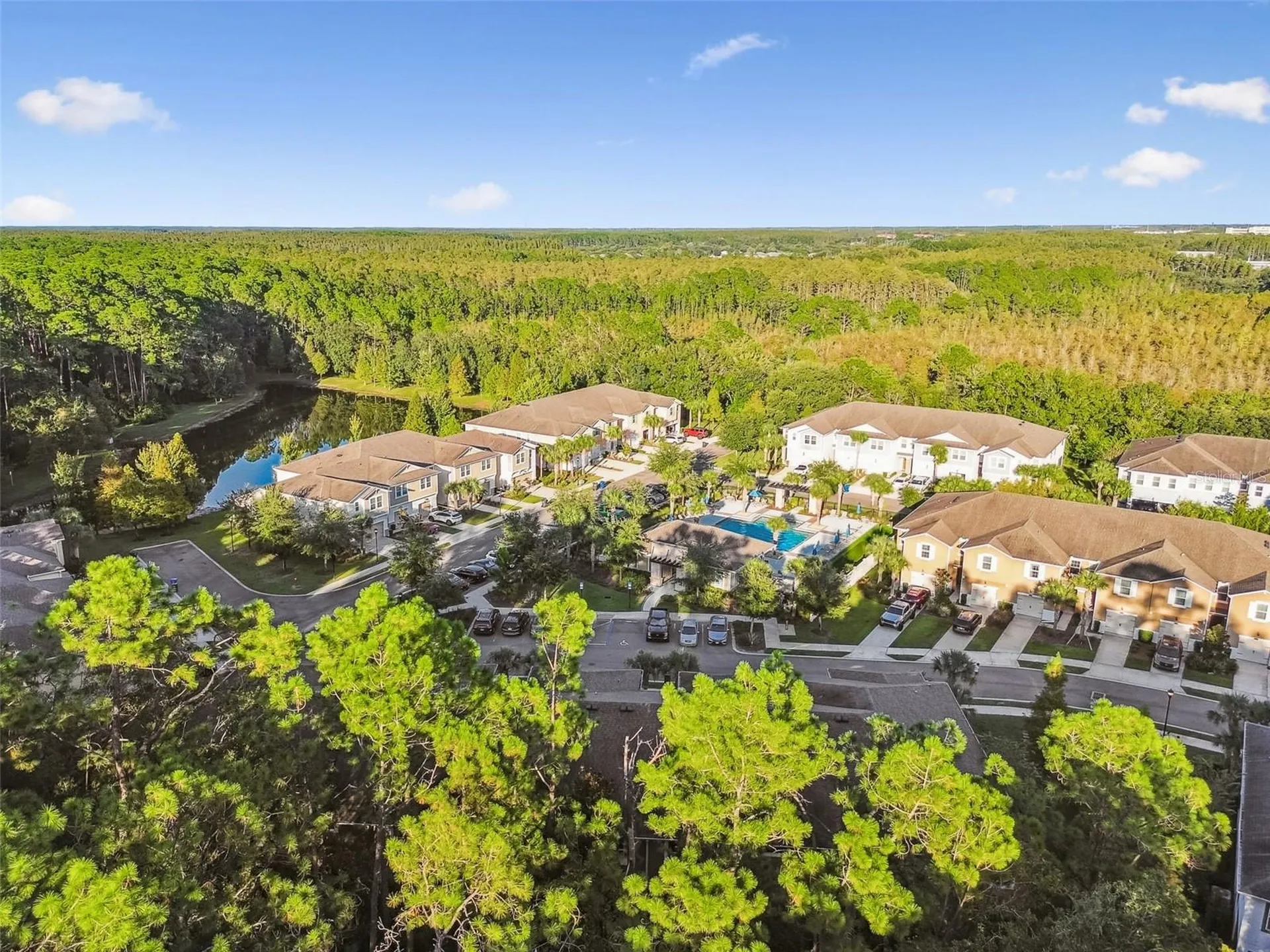 17856 Althea Blue Place Lutz FL 33558