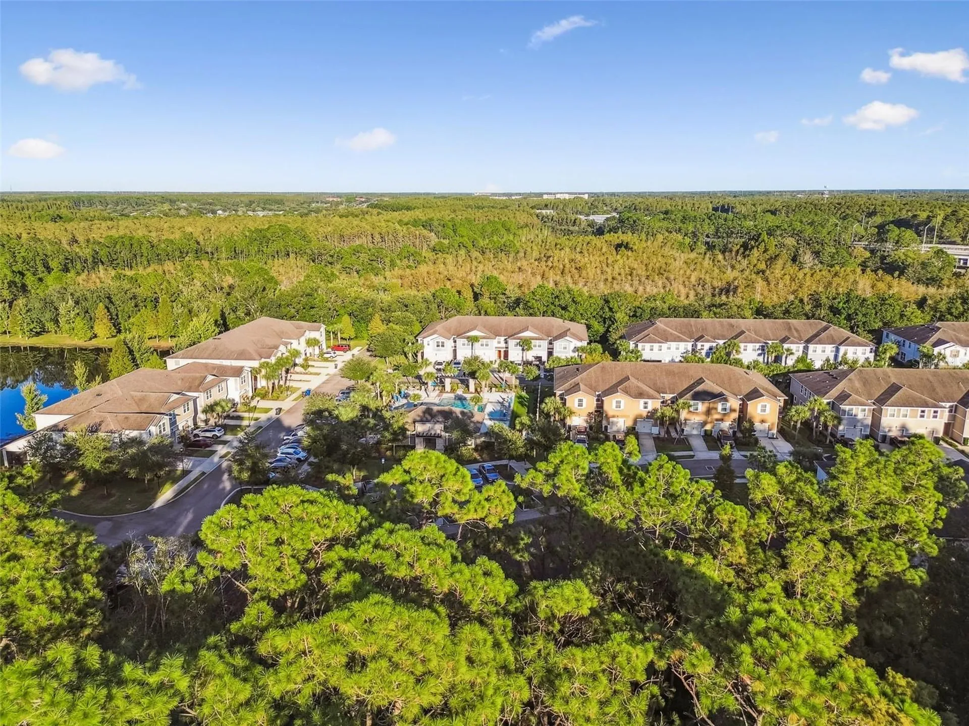 17856 Althea Blue Place Lutz FL 33558