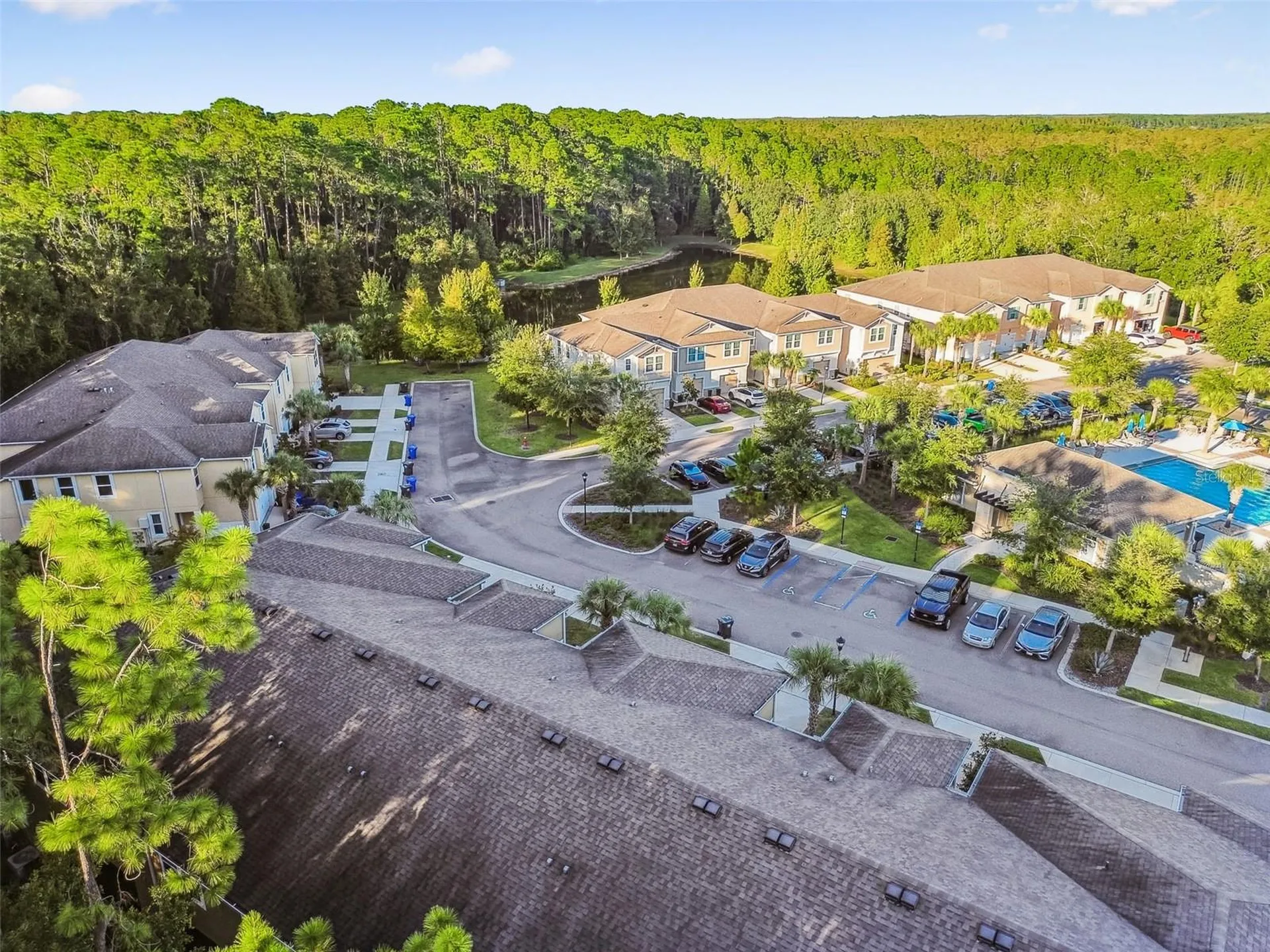 17856 Althea Blue Place Lutz FL 33558