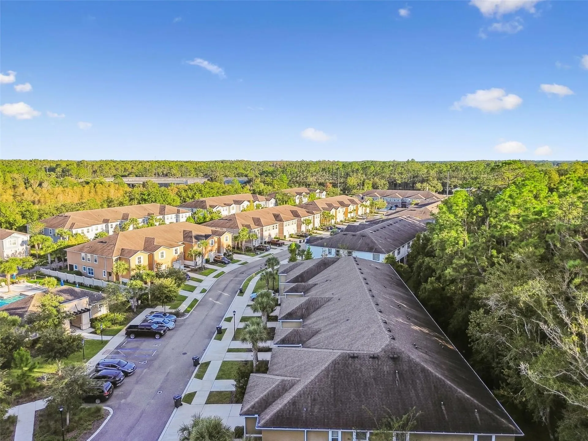 17856 Althea Blue Place Lutz FL 33558