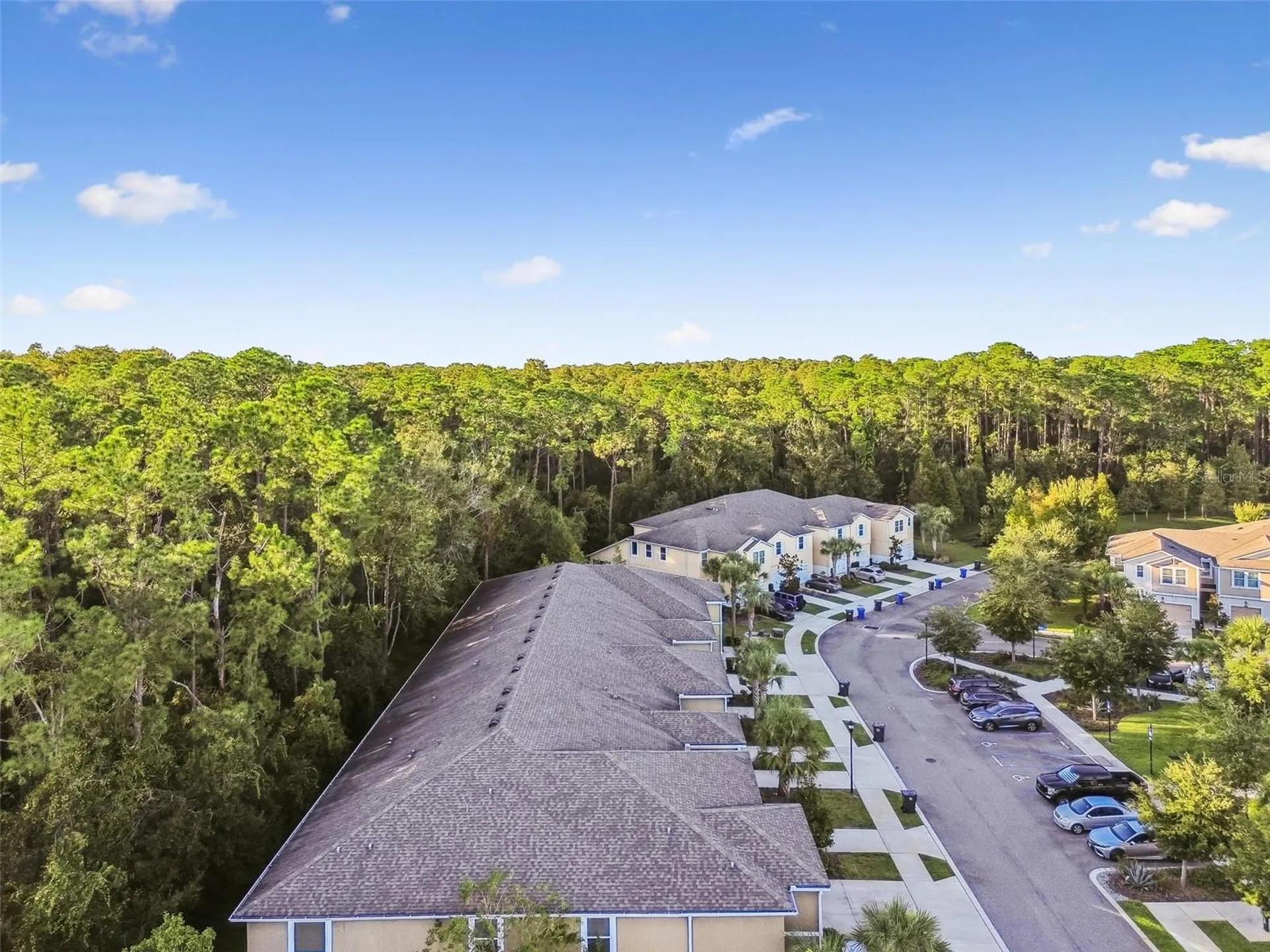 17856 Althea Blue Place Lutz FL 33558
