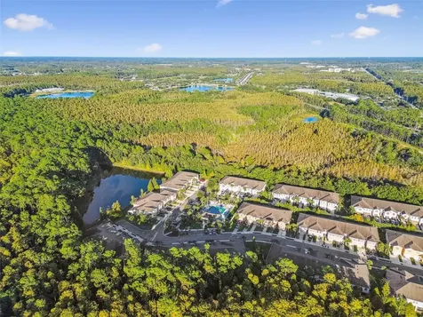 17856 Althea Blue Place Lutz FL 33558