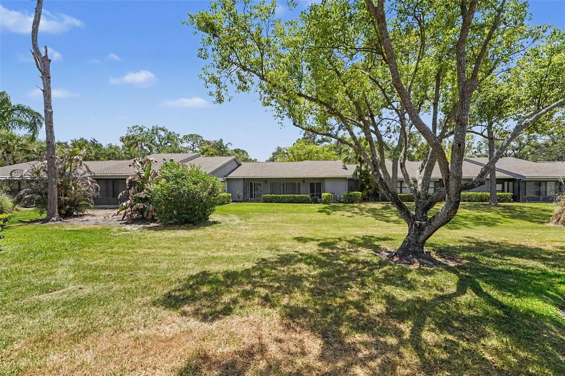 230 Balsam Drive Oldsmar FL 34677