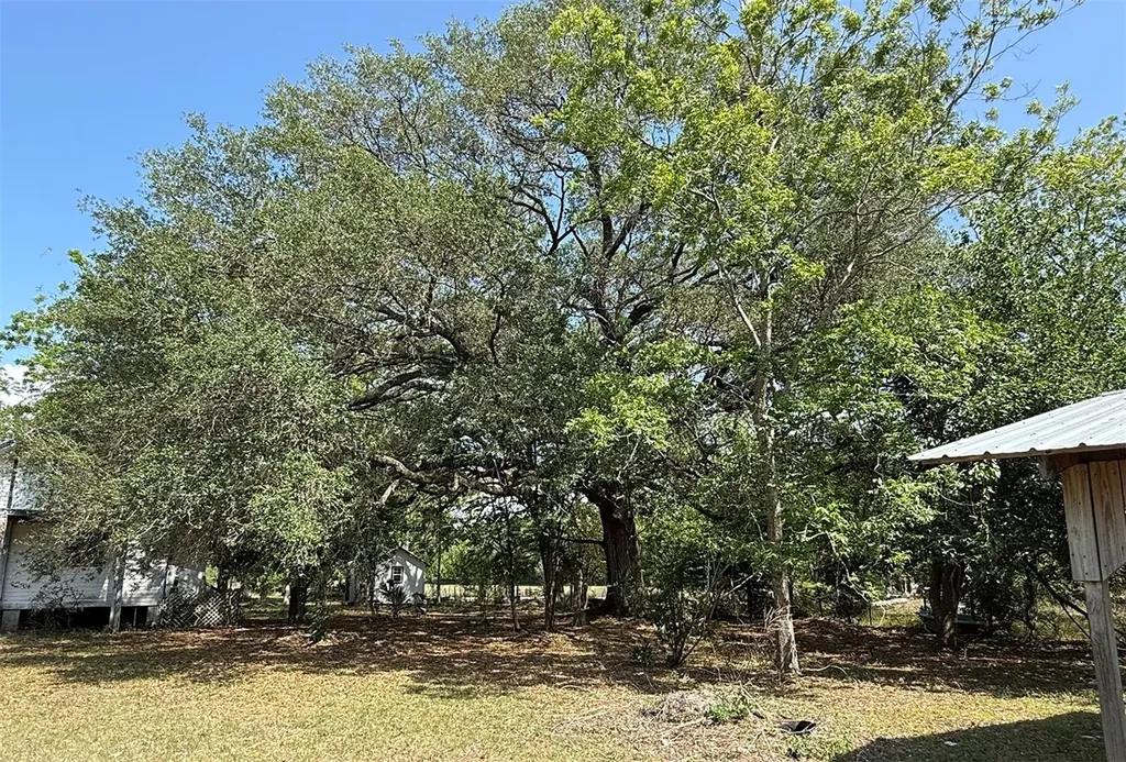 18919 NW 62nd Avenue Alachua FL 32615