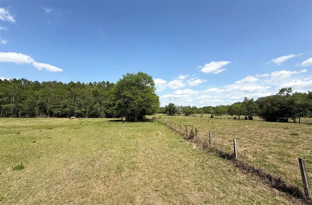 18919 NW 62nd Avenue Alachua FL 32615