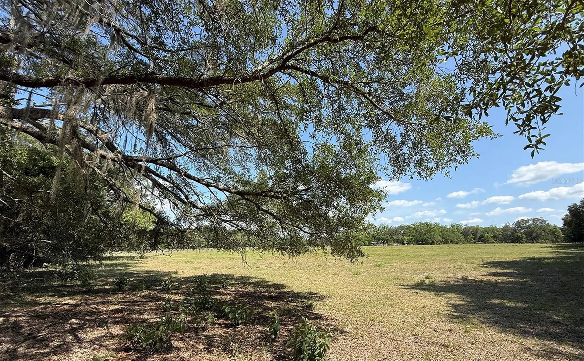 18919 NW 62nd Avenue Alachua FL 32615