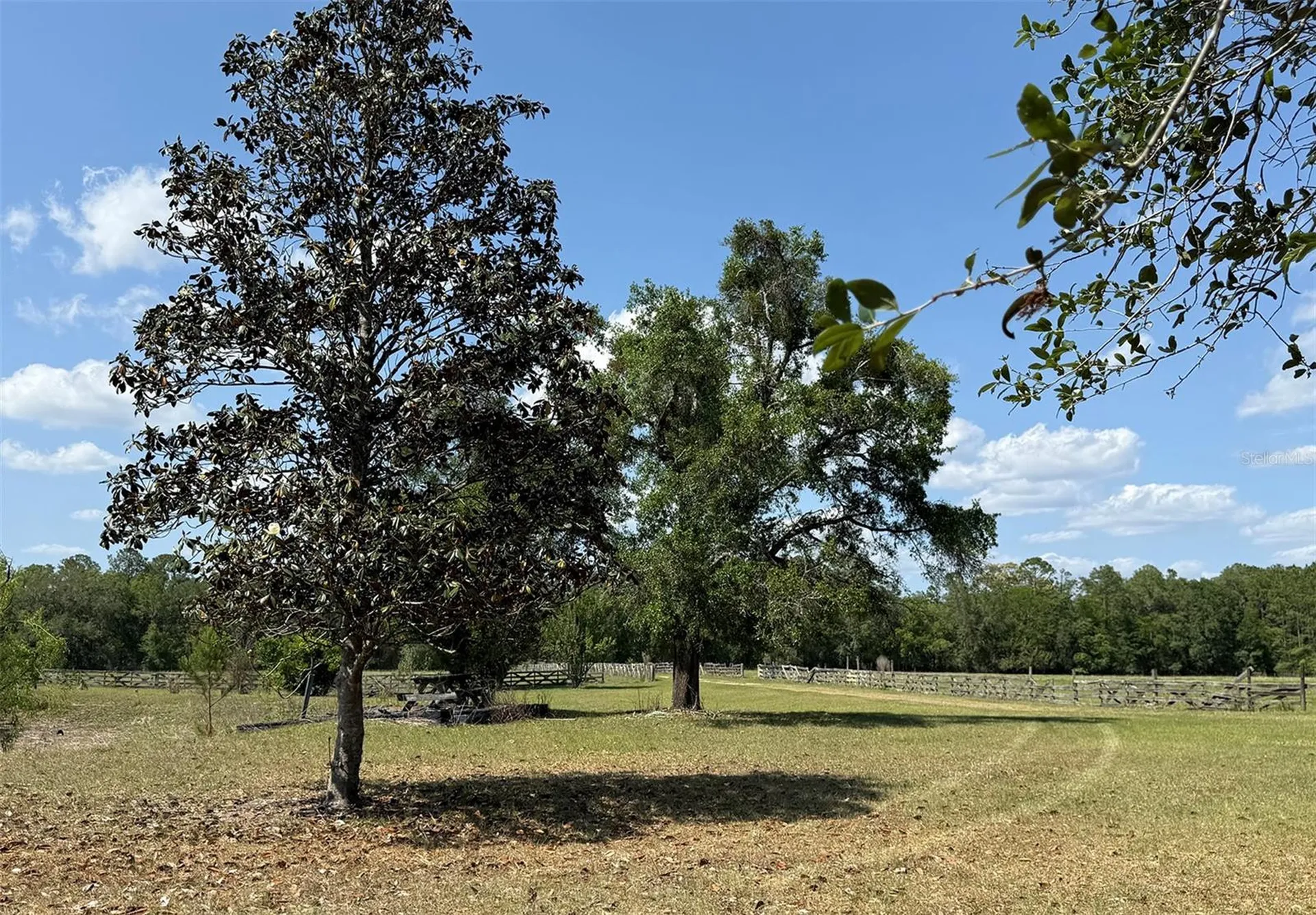 18919 NW 62nd Avenue Alachua FL 32615