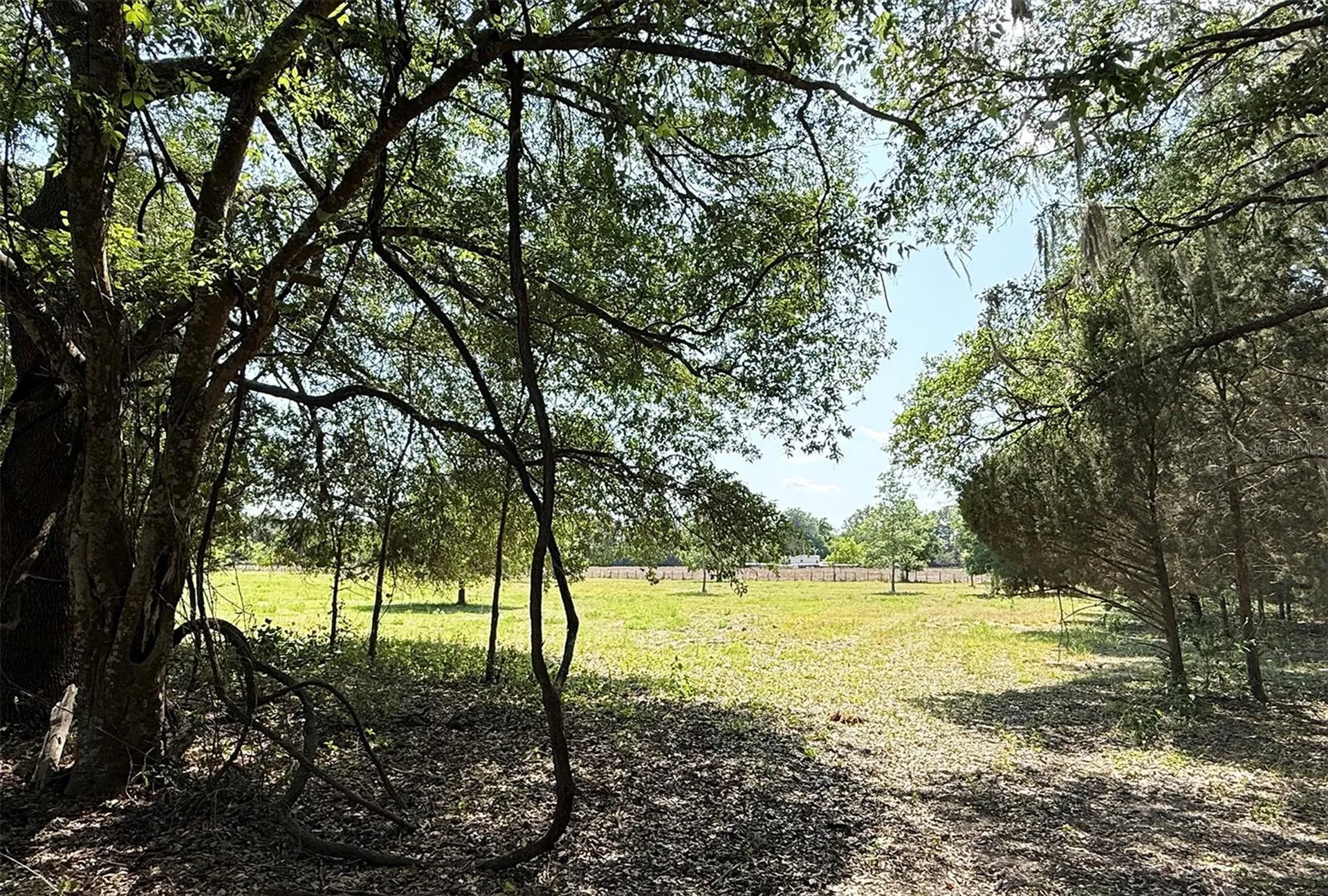 18919 NW 62nd Avenue Alachua FL 32615