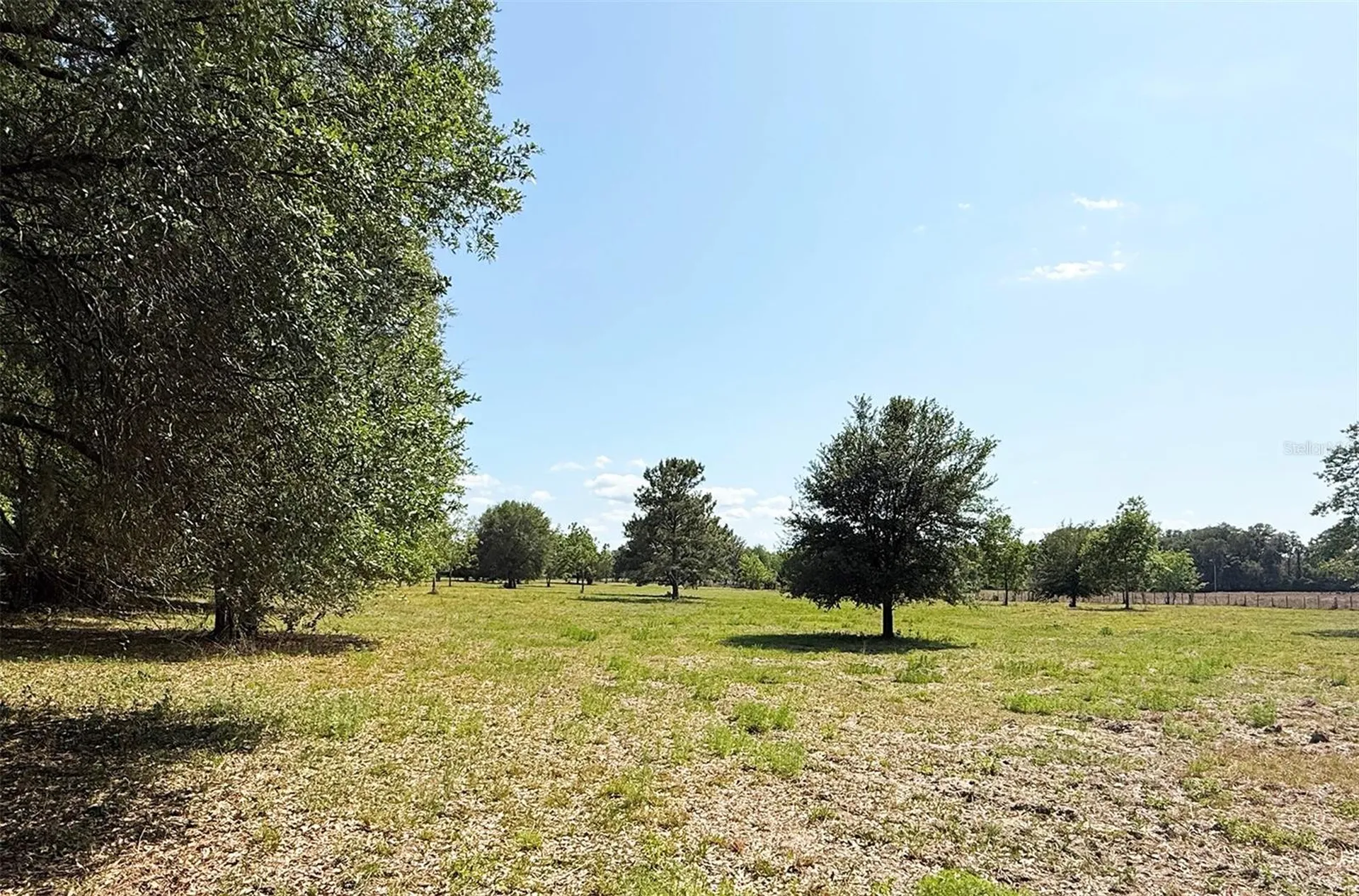 18919 NW 62nd Avenue Alachua FL 32615