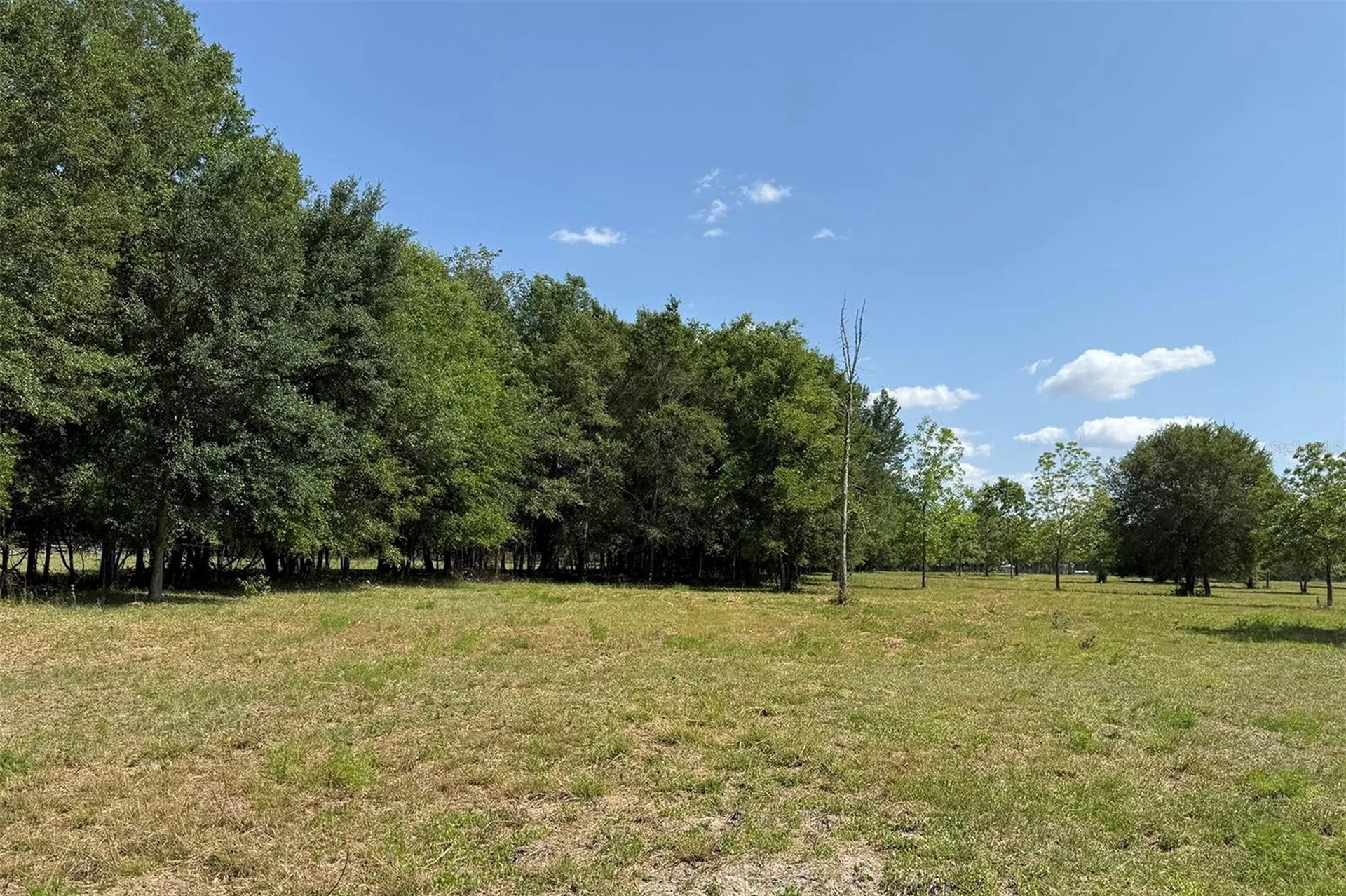 18919 NW 62nd Avenue Alachua FL 32615