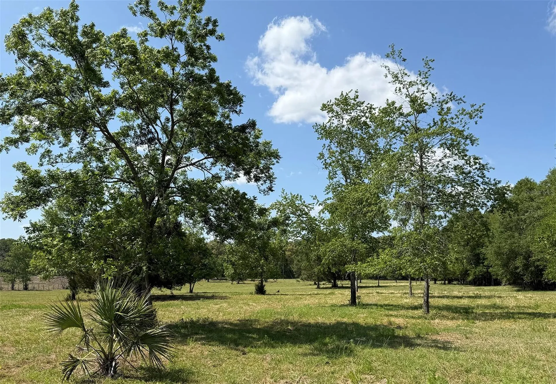 18919 NW 62nd Avenue Alachua FL 32615
