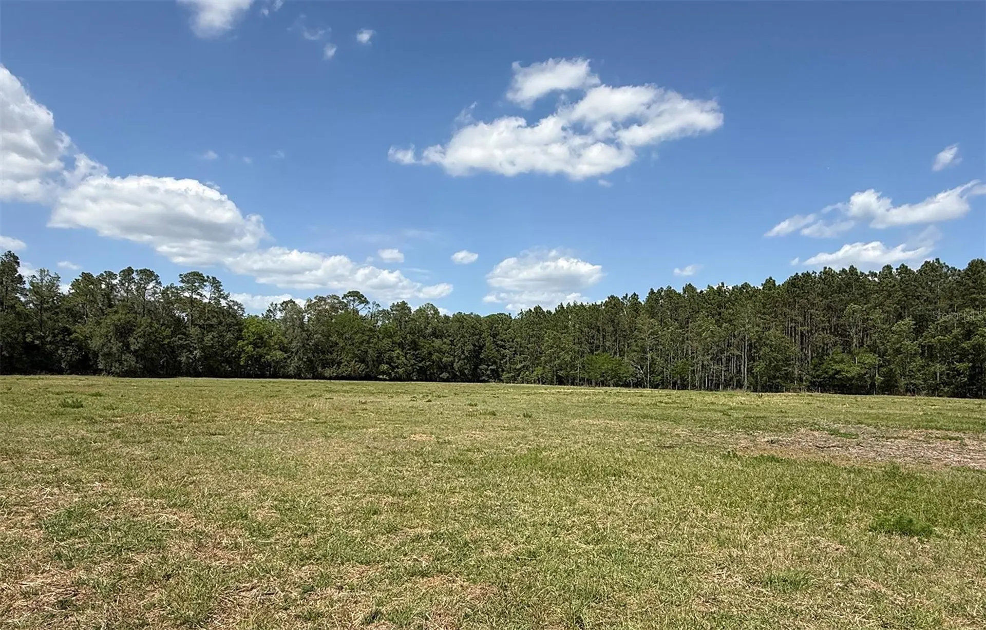 18919 NW 62nd Avenue Alachua FL 32615