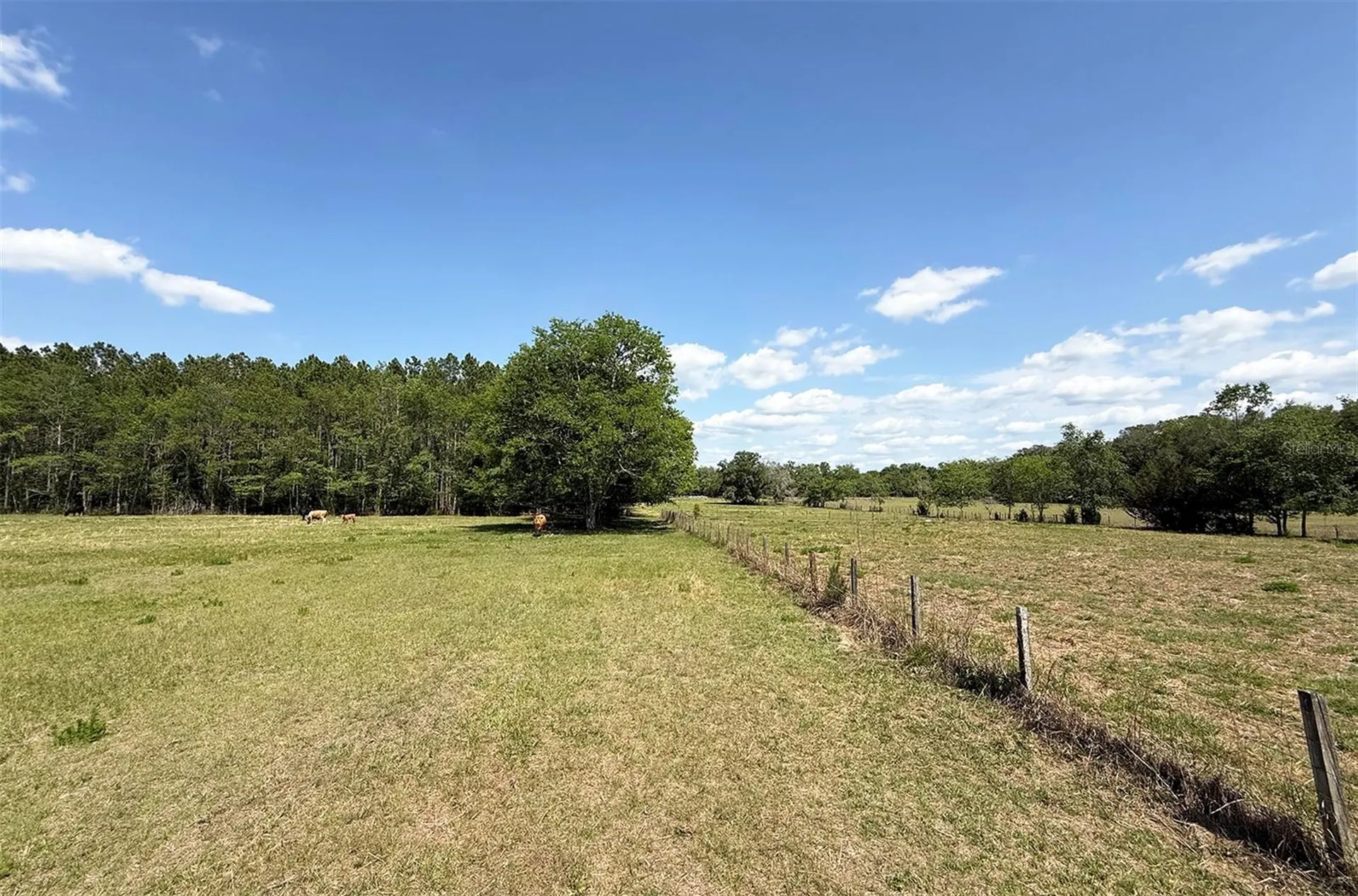 18919 NW 62nd Avenue Alachua FL 32615