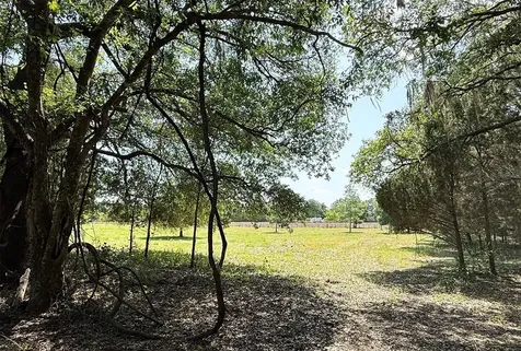 18919 NW 62nd Avenue Alachua FL 32615