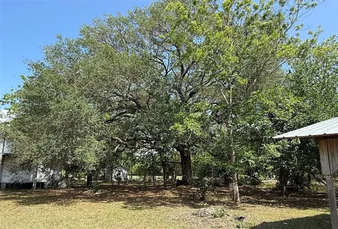 18919 NW 62nd Avenue Alachua FL 32615