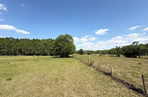 18919 NW 62nd Avenue Alachua FL 32615