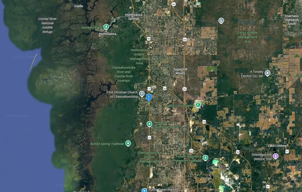 18364 Parakeet Road Brooksville FL 34614
